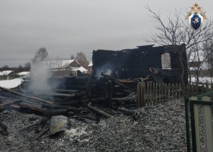 В Сокольском районе Нижегородской области по факту гибели ребенка на пожаре возбуждено уголовное дело (Фотографии)